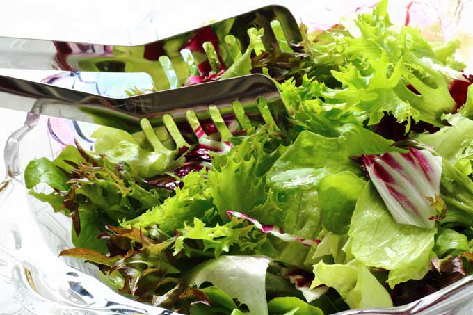 Keeping your salad mix chilled until serving time helps to prevent a bacteria load | Foodal.com