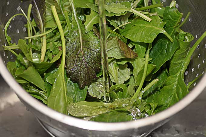 Wash your salad greens prior to consuming! | Foodal.com