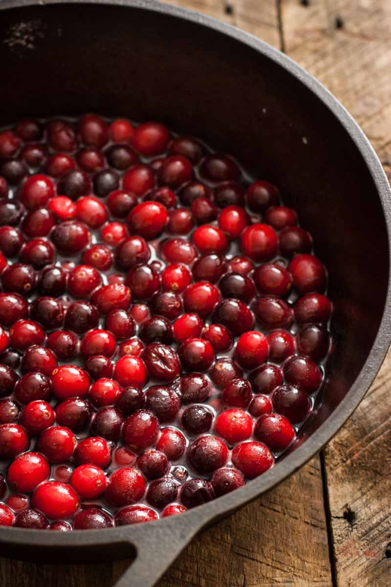 Fresh cranberries and water inside of a cast iron dutch oven. Closeup view.