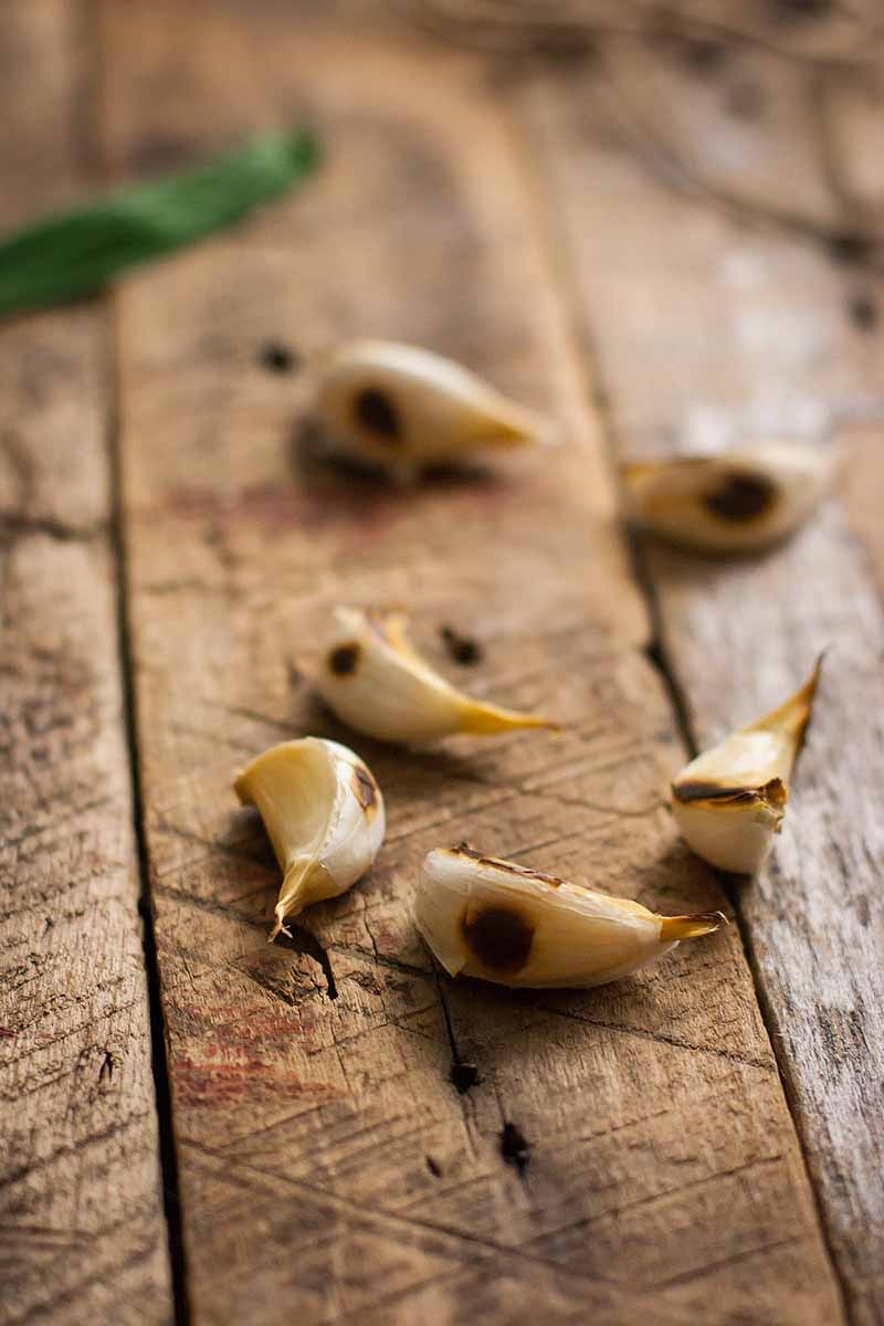 Closeup shot of roasted garlic on a rustic wooden surface.