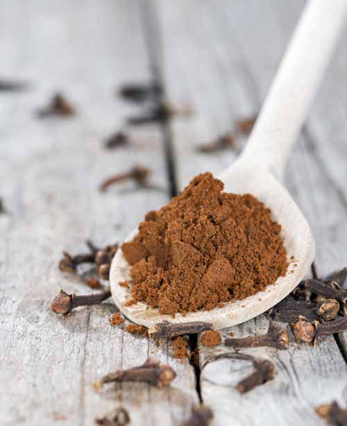 Ground clove spice in a wooden spoon with whole cloves scattered around it.