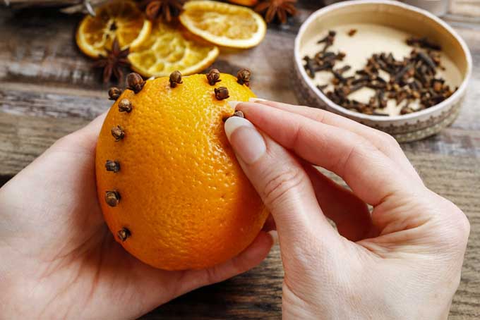 Orange & Clove Pomander Step 6 | Foodal.com
