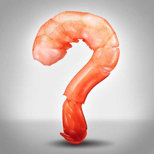 Shrimp shaped like a question mark on a gray background.