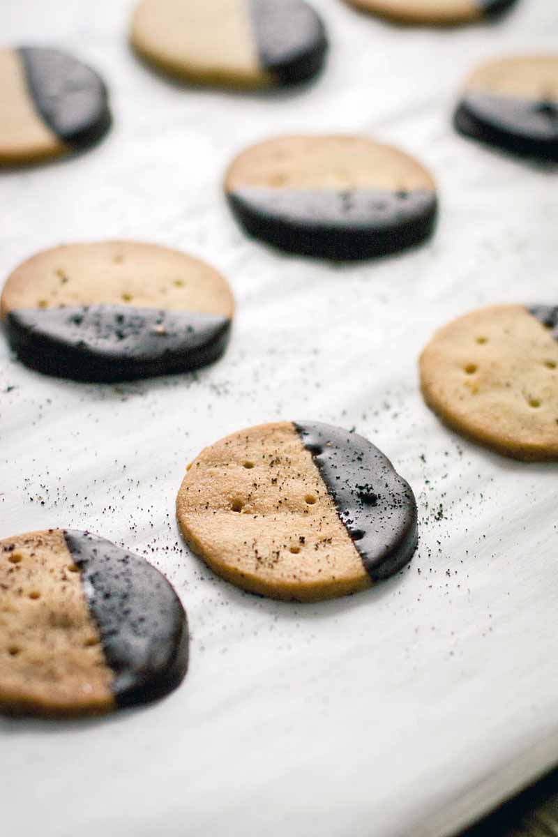 Backlit photo of round cookies with a third of each dipped in chocolate, on a white sheet of parchment paper with a sprinkling of espresso powder, with sharp shadows.