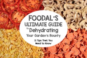 Foodal’s Ultimate Guide to Dehydrating Your Garden’s Bounty