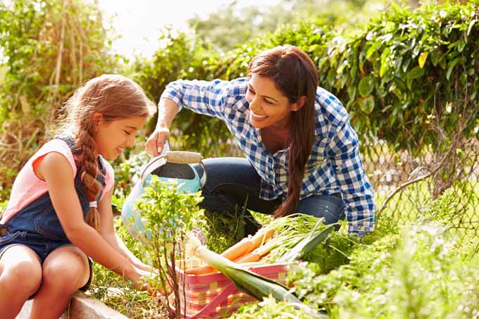 Pesticide-free farming encourages biodiversity | Foodal.com