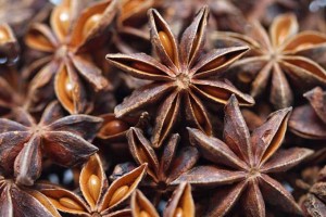 A Spicy Namesake: The Seasoning and Healing Powers of Anise and Star Anise