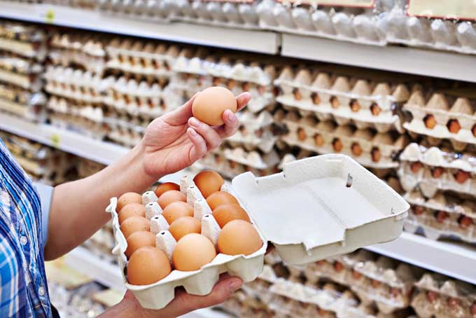 Egg Carton Labeling: Cracking the Code | Foodal.com