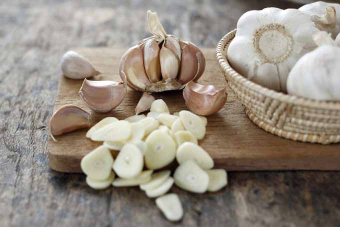 Garlic is anti-inflammatory as well as being antibacterial and antifungal and can help to reduce pain | Foodal.com