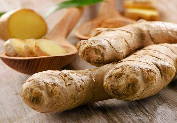 Ginger helps to prevent inflammation in joints and ligaments | Foodal.com