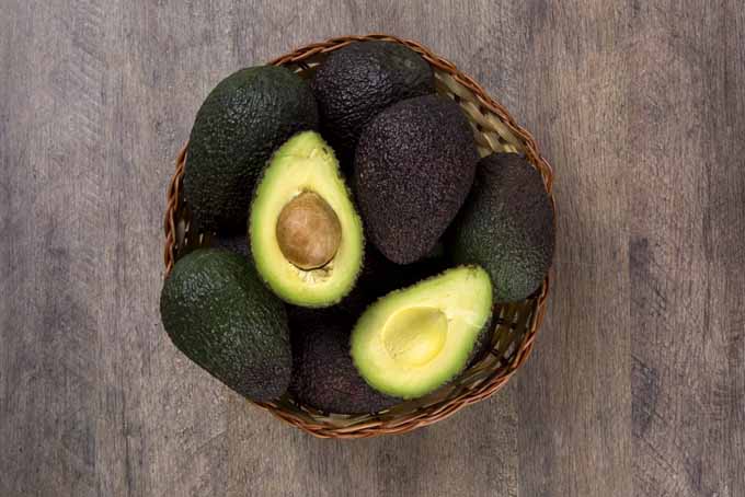 The Right Way to Choose and Store Your Avocados | Foodal.com