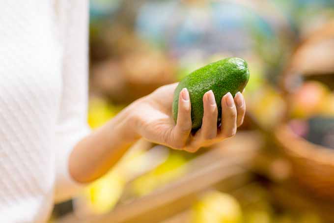 How to pick the perfect avocado | Foodal.com