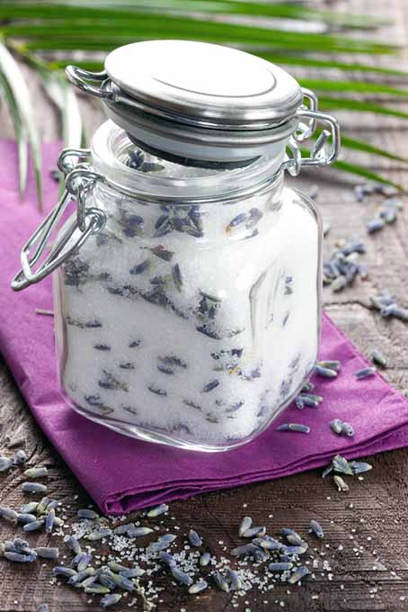 Homemade Lavender Salt | Foodal.com