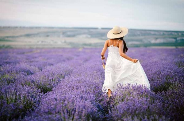 Lavender: A Beautiful and Versatile Herb | Foodal.com