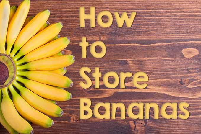Storing Bananas Made Easy | Foodal.com