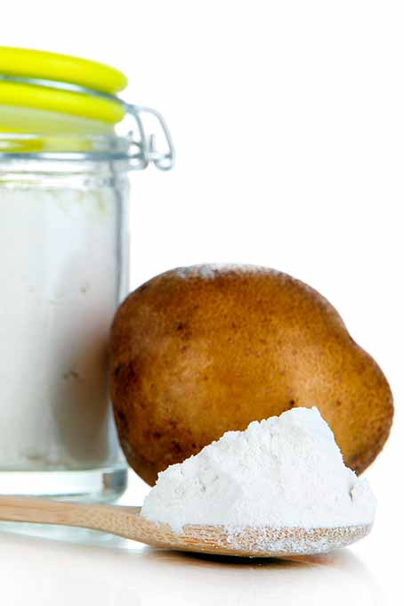 Potato Starch and Potato | Foodal.com