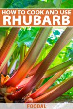 How To Cook And Use Rhubarb In The Kitchen Pin 150x225 