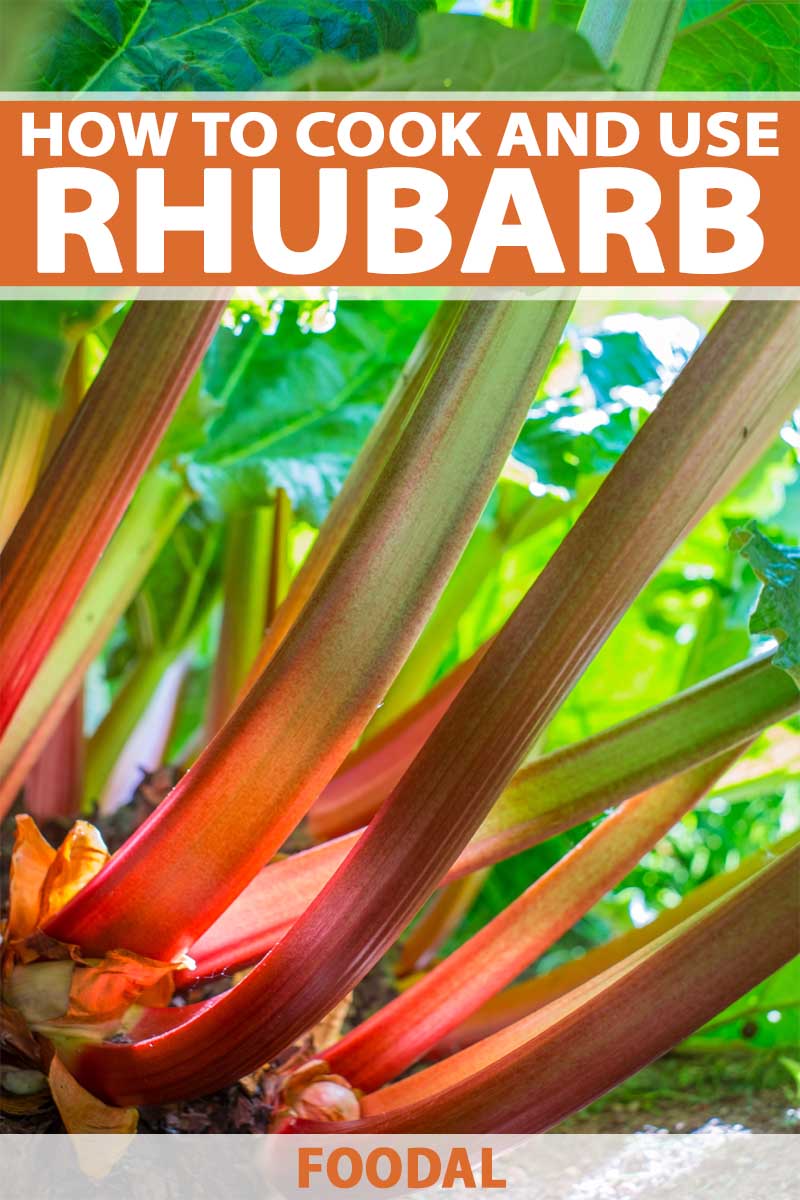How To Cook And Use Rhubarb In The Kitchen Foodal