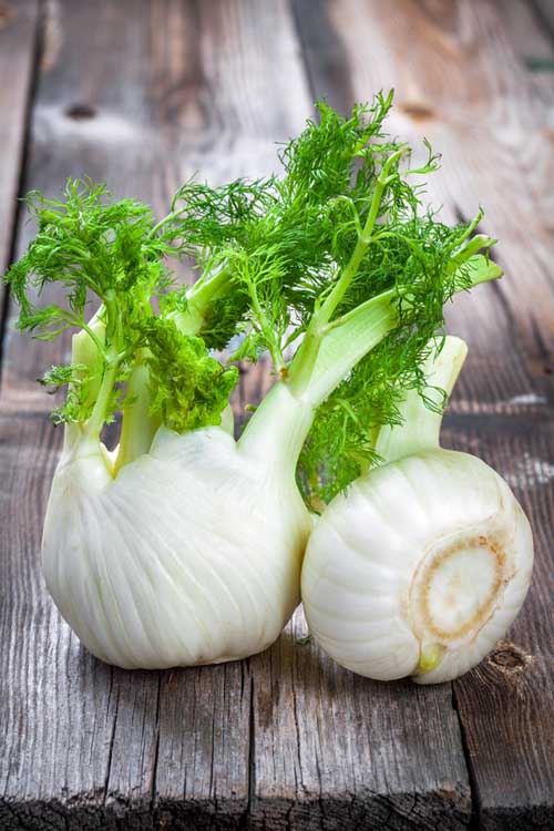 Fennel is great vegetable that like tofu and mushrooms, can be prepared in many ways and fit into any cuisine. Fennel's health properties are also great for well-being. Check it out now at https://foodal.com/knowledge/how-to/store-and-use-fresh-fennel/