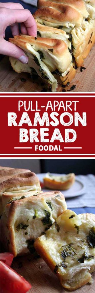 Ramson is a fabulous herb with a fresh and tangy taste. Use this garlic-flavored plant in a variety of recipes, like our superb pull-apart bread. Get the recipe on Foodal now!
