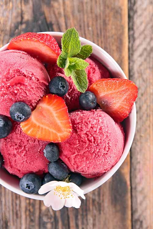 A basic knowledge of the science of sorbet will leave you with smooth, sweet satisfaction every time. Learn more on Foodal: https://foodal.com/recipes/desserts/sorbet-science/