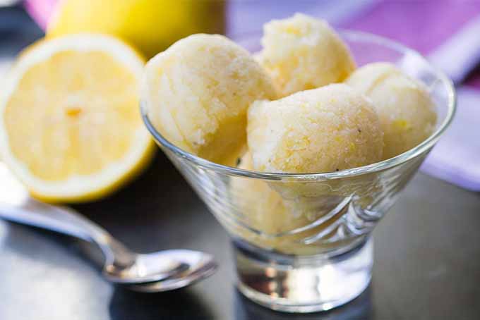 Dish of Lemon Sorbet | Foodal.com