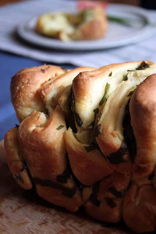 This pull-apart bread is one of our favorite ways to use ramson, a wild springtime herb that's similar to ramps. Check out the recipe on Foodal: https://foodal.com/recipes/breads/ramson-pull-apart-bread/