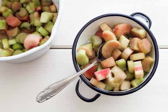 Rhubarb in a Pot | Foodal.com