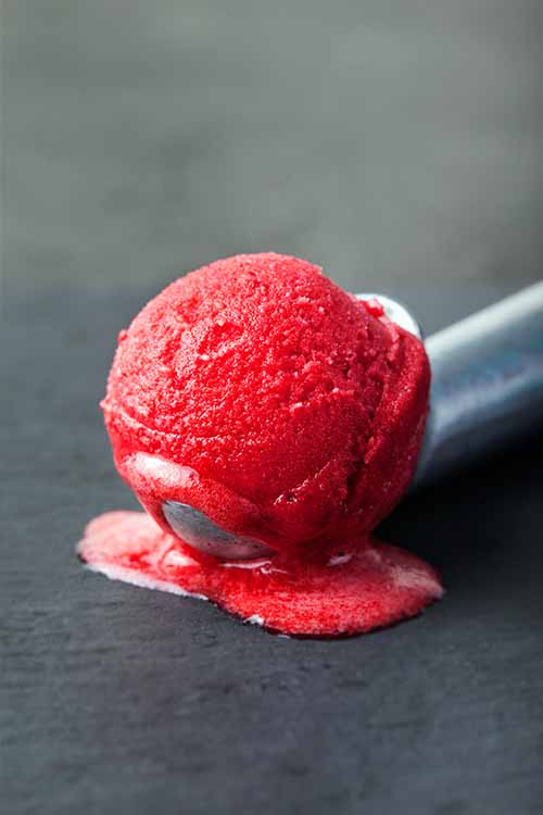 Learn how to turn any fresh fruit into a tasty homemade sorbet with just a touch of food science. Read more now on Foodal: https://foodal.com/recipes/desserts/sorbet-science/