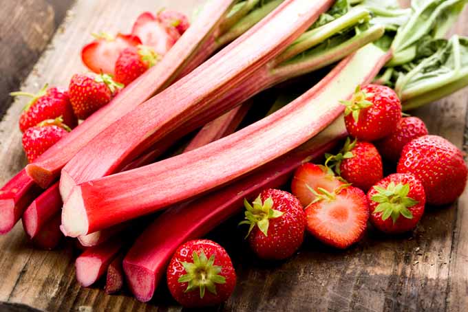 Strawberry Rhubarb Pairing | Foodal.com
