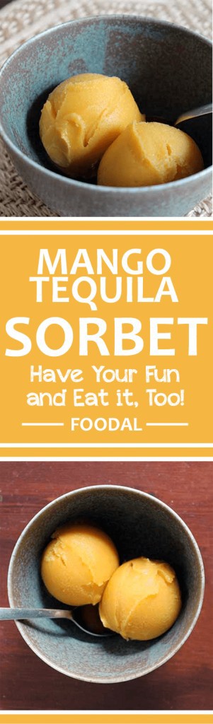 For the best Cinco de Mayo party on the block, try serving this homemade tequila mango sorbet! Check out our simple recipe to learn more about this boozy treat, made with fresh mango. It's perfect for the fifth of May, or anytime that mangoes are in season. Read more on Foodal. https://foodal.com/recipes/desserts/mango-tequila-sorbet/