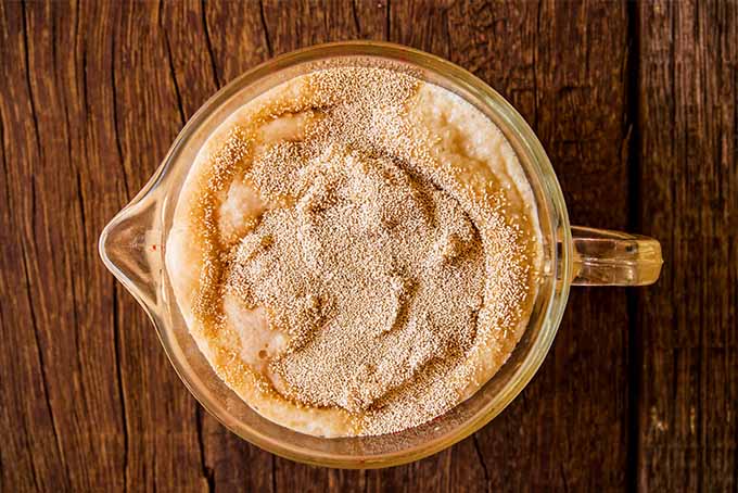Active Dry Yeast in Warm Water | Foodal.com