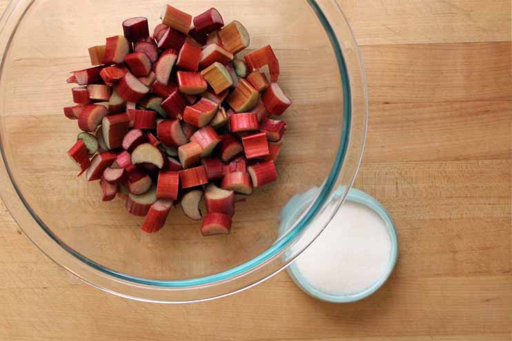 Chopped Rhubarb and Sugar | Foodal.com