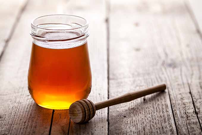 All About Honey Types and Healing Properties | Foodal.com