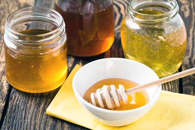 Honey Varieties | Foodal.com