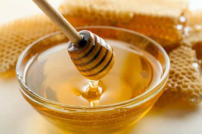 Bowl of Honey | Foodal.com