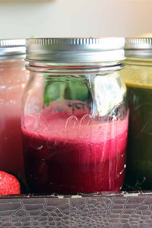 3 Springtime Juices that You can Make at Home