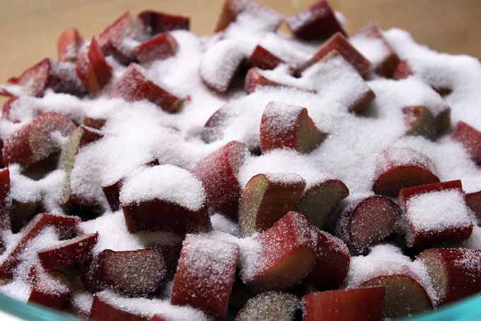 Combine Rhubarb with Sugar | Foodal.com
