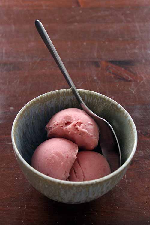 With the perfect balance between bright sorbet and smooth ice cream, sherbet is the ideal summer treat. Check out the super simple method to dreamy summer bliss now: https://foodal.com/recipes/desserts/rhubarb-buttermilk-sherbet/