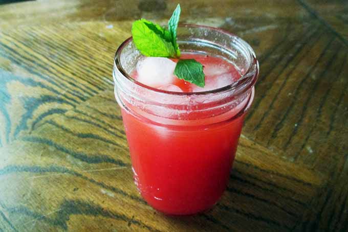 Mocktail Made with Shrub or Drinking Vinegar | Foodal.com