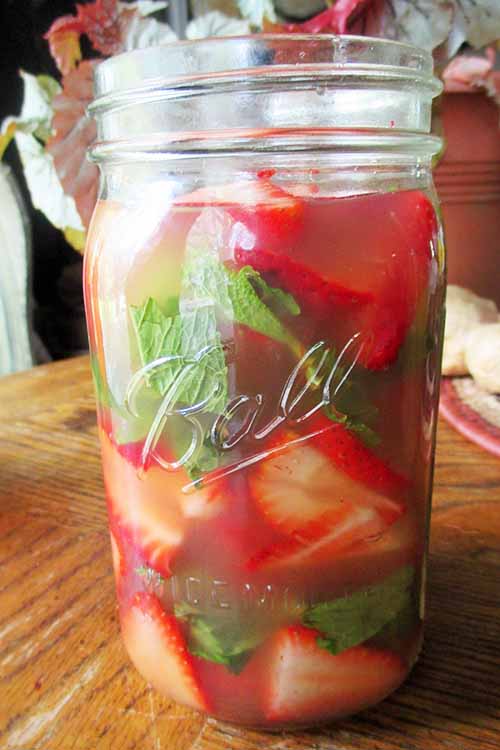 Maybe you've bought a shrub mix or a cocktail mixed with a shrub at your local bar - but did you know that you can make them? Refreshing, fabulous - and they can be healthy, too! Learn to make them here: https://foodal.com/recipes/pickles-and-fermentations/shrubs-drinking-vinegars/