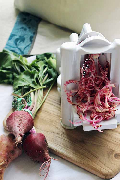 Tired of the tried-and-true juicing and pickling routes to use up all those beets? We have the perfect recipe for you! Get it now on Foodal: https://foodal.com/knowledge/paleo/spiralized-beet-noodle-wrap/
