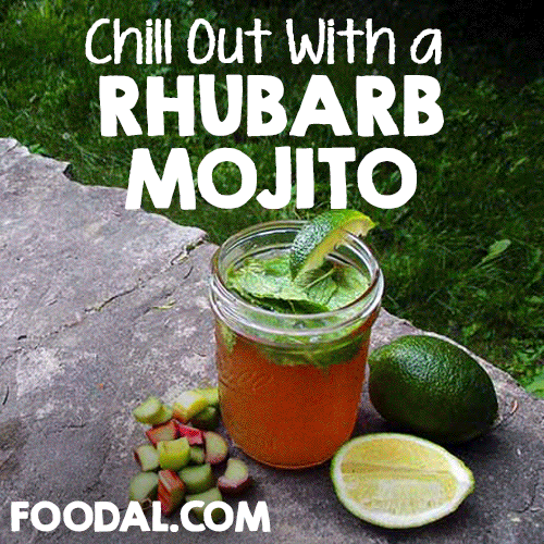 Rhubarb and Mint Mojito Recipe | Foodal.com