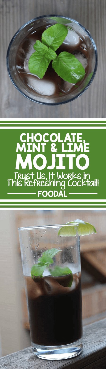 This twist on the quintessential warm weather drink merges two classic flavor combinations – chocolate and mint with lime and rum. If the pairing has you feeling skeptical, be prepared for a huge surprise! This refreshing cocktail doubles as the perfect dessert. What makes this beverage unique is the use of a particular species of mentha known for having an essence of cocoa. https://foodal.com/drinks-2/alcoholic-beverages/chocolate-mint-mojito-2/