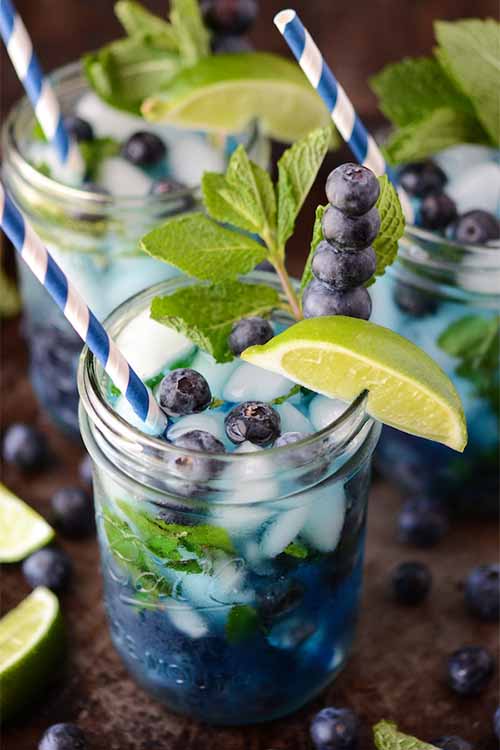 blueberry-mojito