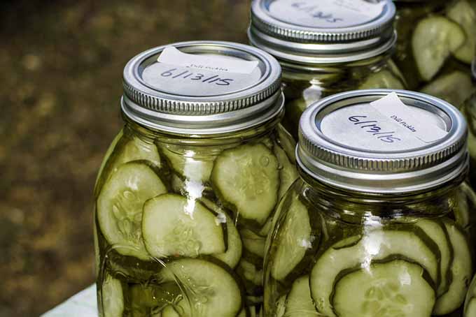 Canned Cucumber Pickles | Foodal.com