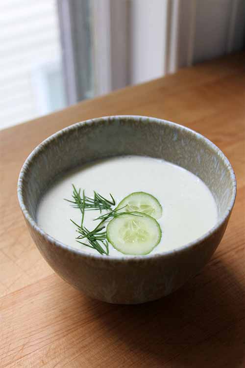 https://foodal.com/recipes/soups/chilled-cucumber-soup/