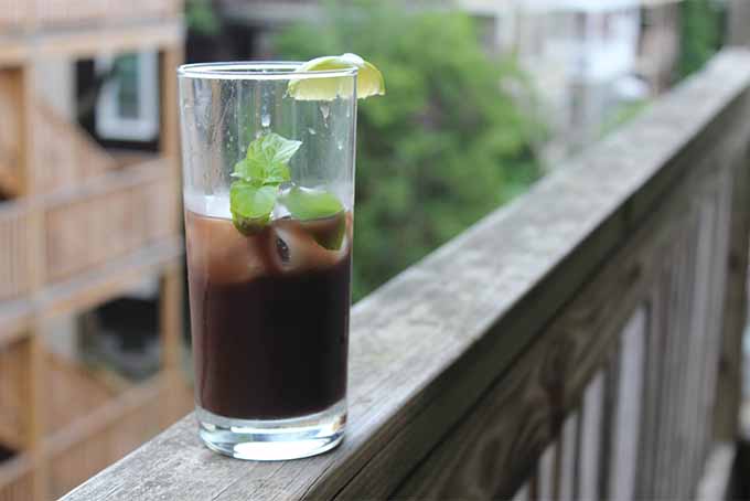 Chocolate, Mint, and... Lime? Make This Chocolate Mint Mojito at Home | Foodal.com