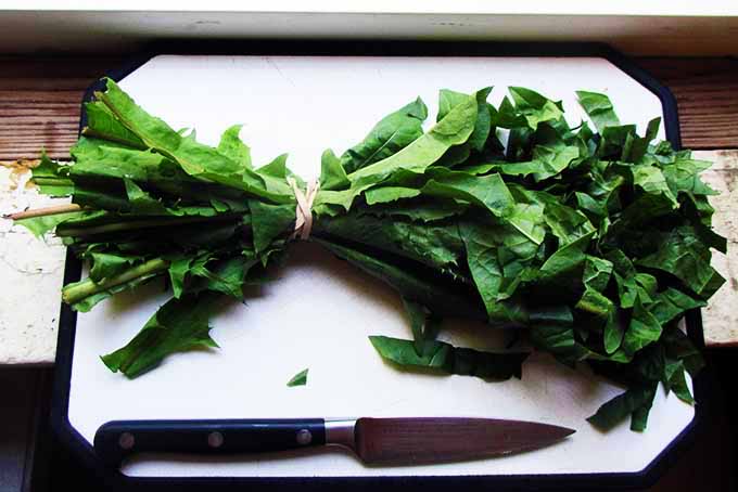 Chopped Dandelion Cooking Greens | Foodal.com