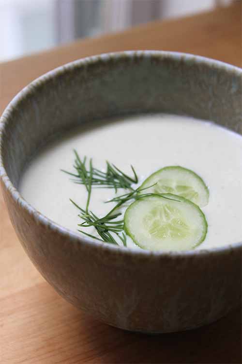 Nothing cools on a warm day like a nice chilled soup. This cucumber and yogurt version is particularly refreshing with fresh dill and bright lemon juice! https://foodal.com/recipes/soups/chilled-cucumber-soup/